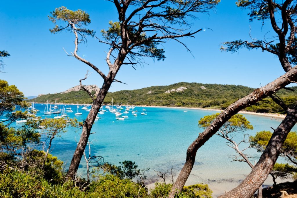 L’île de Porquerolles