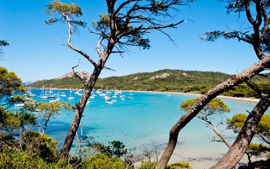 L’île de Porquerolles : pourquoi et comment visiter l’une des plus belles îles de France ?